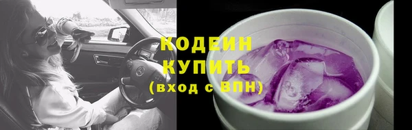 дурь Карпинск