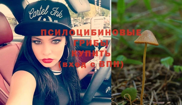 дурь Карпинск