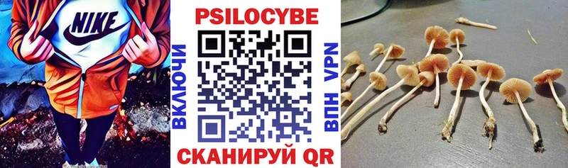 Купить где  Котовск  Галлюциногенные грибы MAGIC MUSHROOMS 